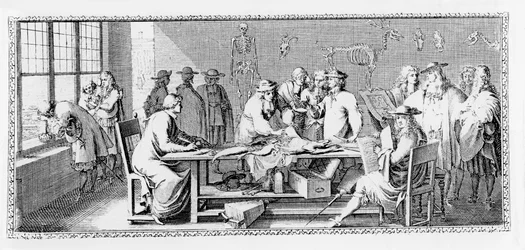 The Anatomy Lesson, Dissection at the Jardin des Plantes